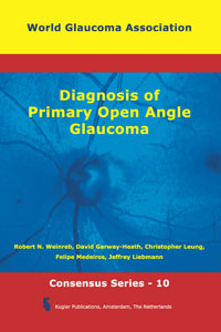 WGA Consensus Series 10: Diagnosis of Primary Open Angle Glaucoma