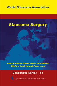WGA Consensus Series 11: Glaucoma Surgery